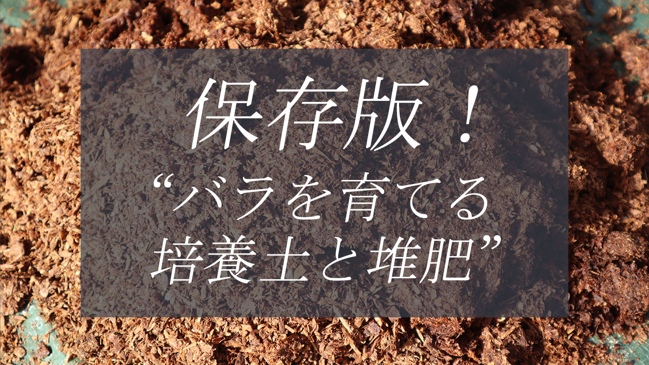 保存版！バラを育てる【培養土と堆肥】のコツトップページリンク