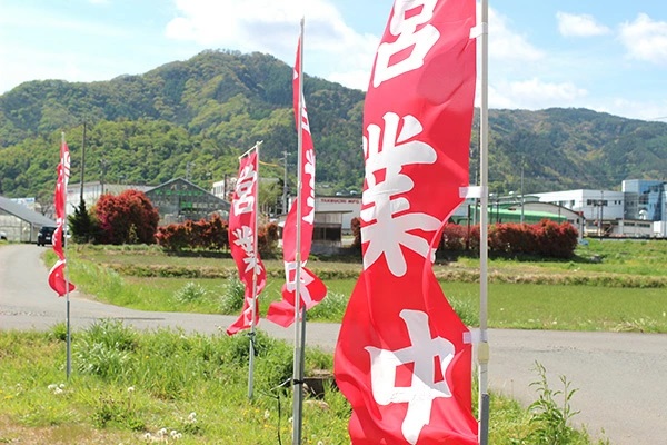 バラ専門店ザローズショップのバラ苗の直売店イメージ