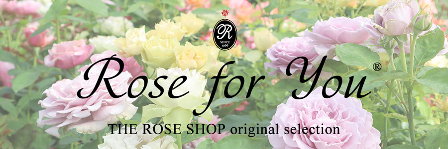 Rose for Youトップページイメージ