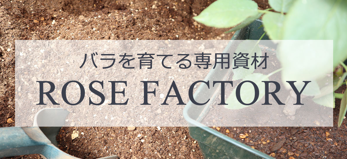 THE ROSE SHOP｜バラ専門店 ザローズショップ 本店 - バラ苗の通販 