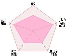 バラ苗モーヴァンヒルズ