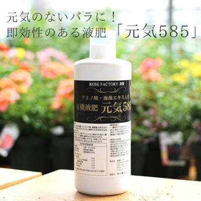 資材セール15％OFF】 バラ専用 有機液肥 元気585（元気くん）1000cc | THE ROSE SHOP｜バラ専門店 ザローズショップ 本店  - バラ苗の通販