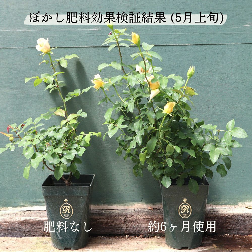 バラ専用の土とぼかし肥料セット