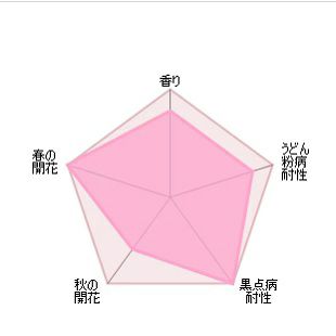 バラ苗スーザンウィリアムズエリス