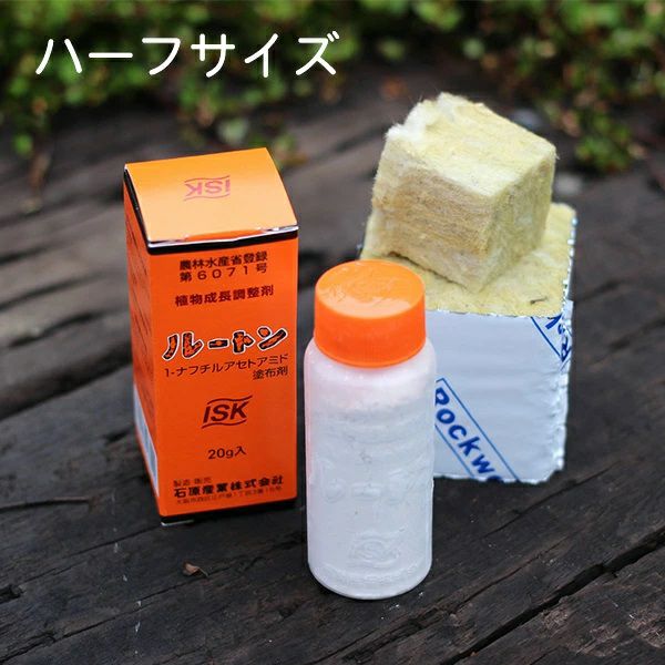 挿し木用ロックウールと発根促進剤ルートンのスターターズセット