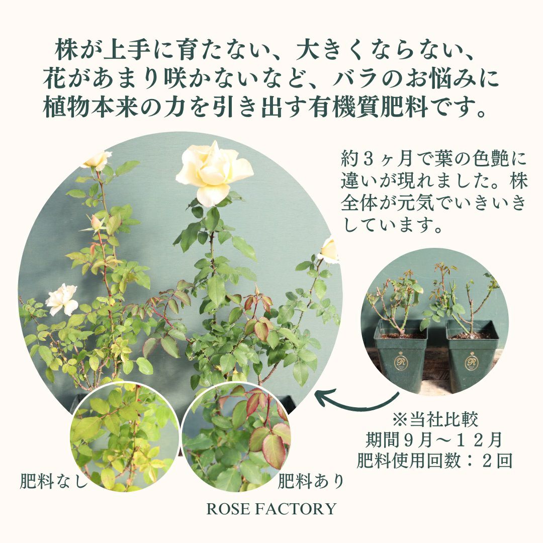 元気なバラを育てる肥料セット