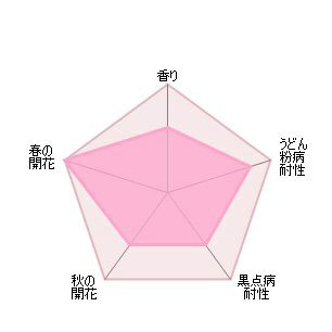 バラ苗トッタリングバイジェントリー