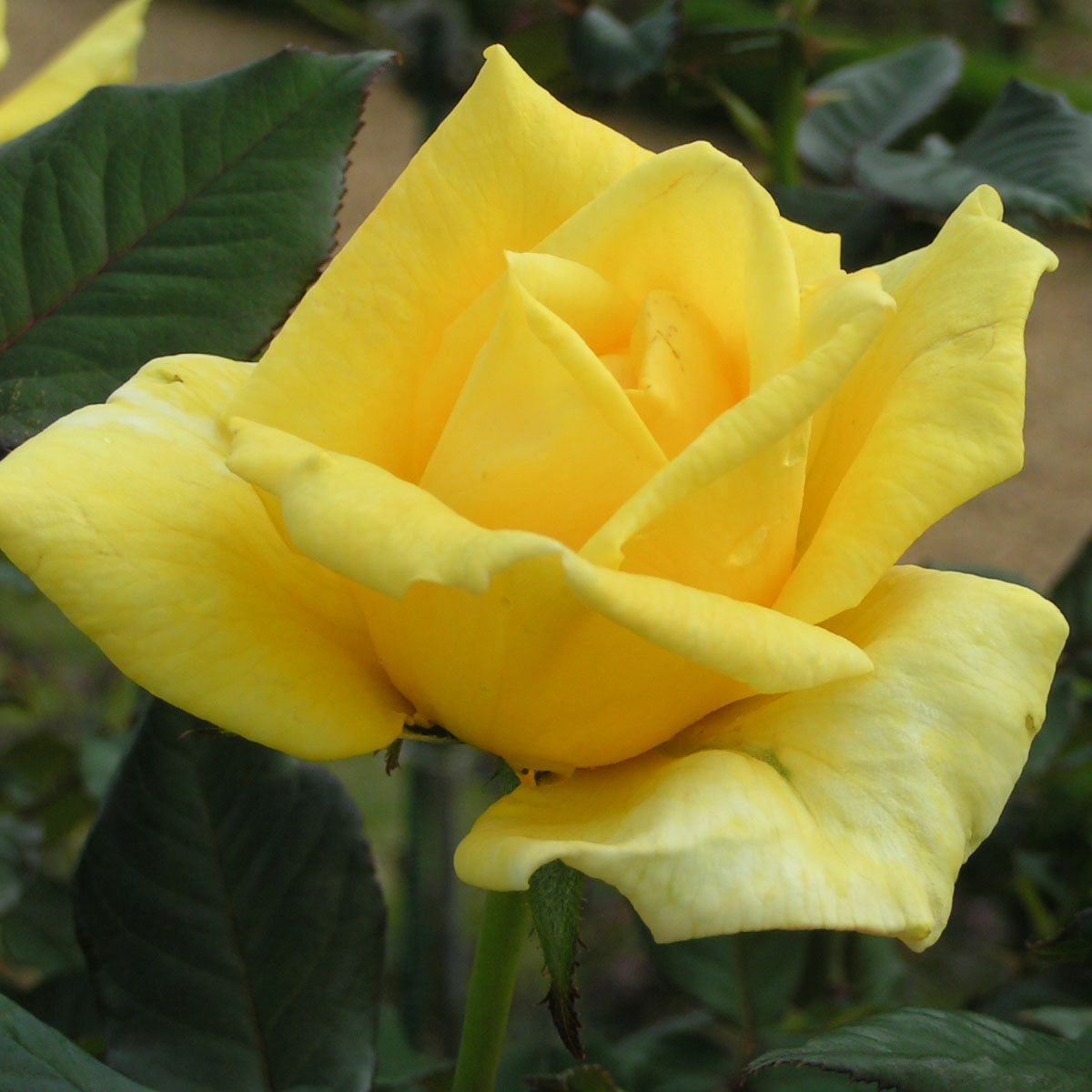 000000010856-01-m.jpg?t=