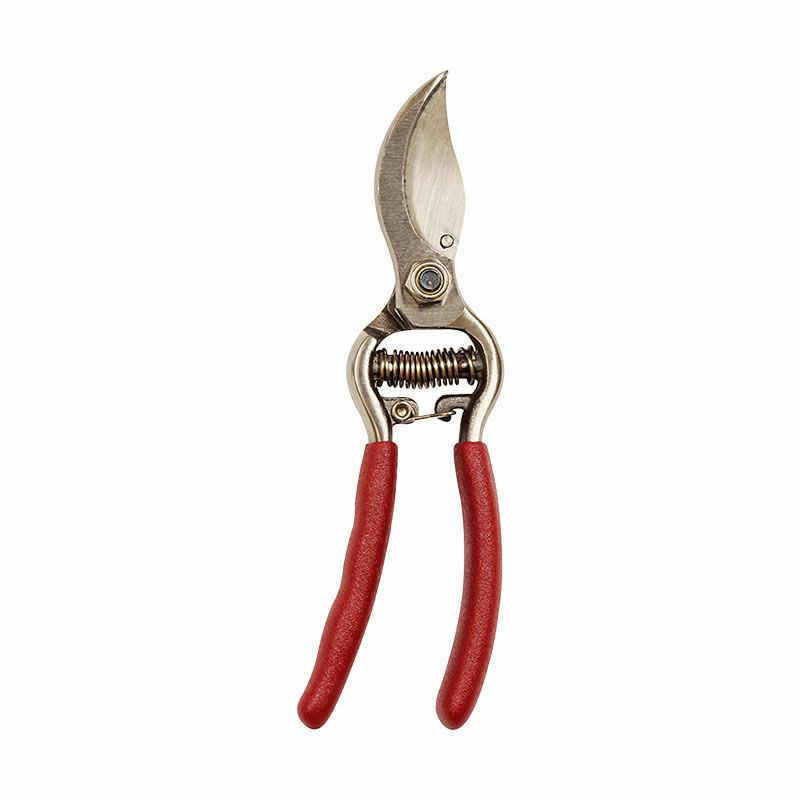 【剪定ばさみ】ケント＆ストー Bypass Secateurs 6.5, Garden Life