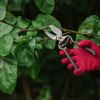 【枝 剪定ばさみ】ケント＆ストー Traditional Anvil Secateurs