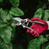 【プロ用 枝 剪定ばさみ】ケント＆ストー Professional Anvil Secateurs 
