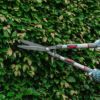 【枝切ばさみ 植木 はさみ 伸縮式】ケント＆ストーTelescopic Hedge Shears