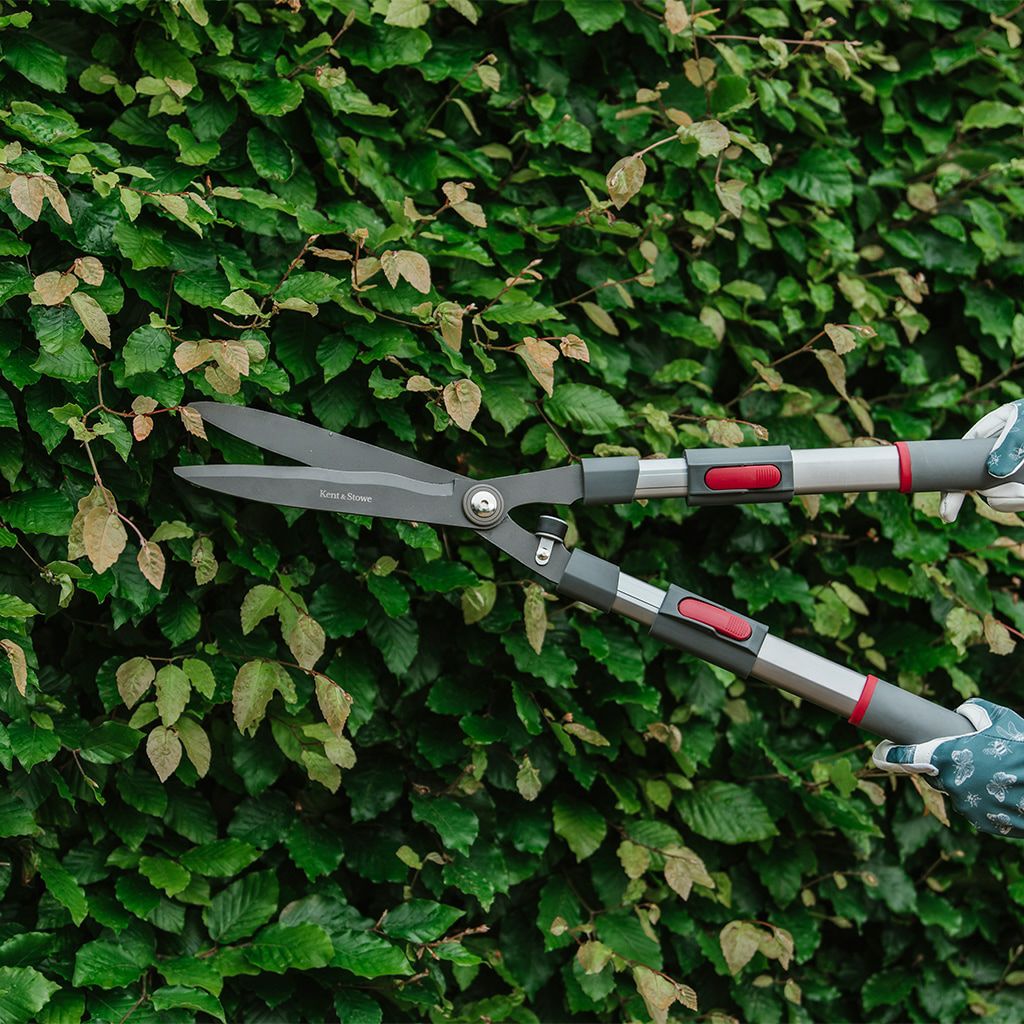 【枝切ばさみ 植木 はさみ 伸縮式】ケント＆ストーTelescopic Hedge Shears
