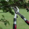 生木 枝切ばさみ ロッパー 伸縮式】ケント＆ストーTelescopic Bypass Loppers