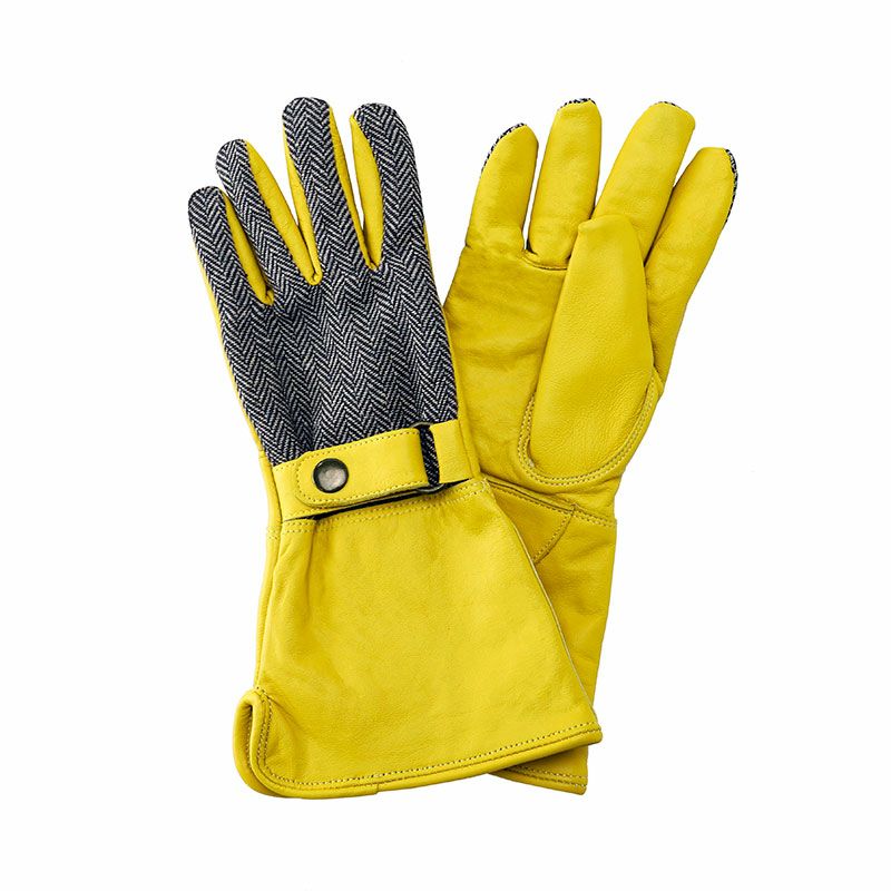 【グローブ 手袋 女性用】ケント＆ストー Luxury Leather Gauntlet Gloves Gloves Ladies Medium