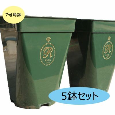 THE ROSE SHOP オリジナル7号角鉢 [5鉢セット] | THE ROSE SHOP｜バラ