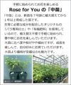 バラ苗 roseforyou 中苗