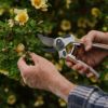 ガーデニング剪定ばさみ　エバーシャープ生木用 ケント＆ストー Eversharp Bypass Secateurs Kent & Stowe