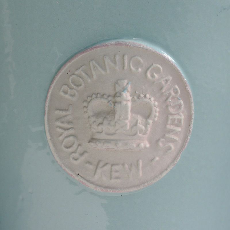 キューポット 植木鉢 Lサイズ キューガーデンズ