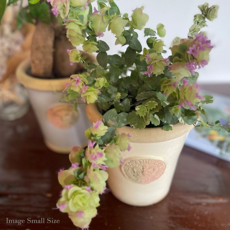 キューポット 植木鉢 Mサイズ】 キューガーデンズ Kew Long Tom Pot M