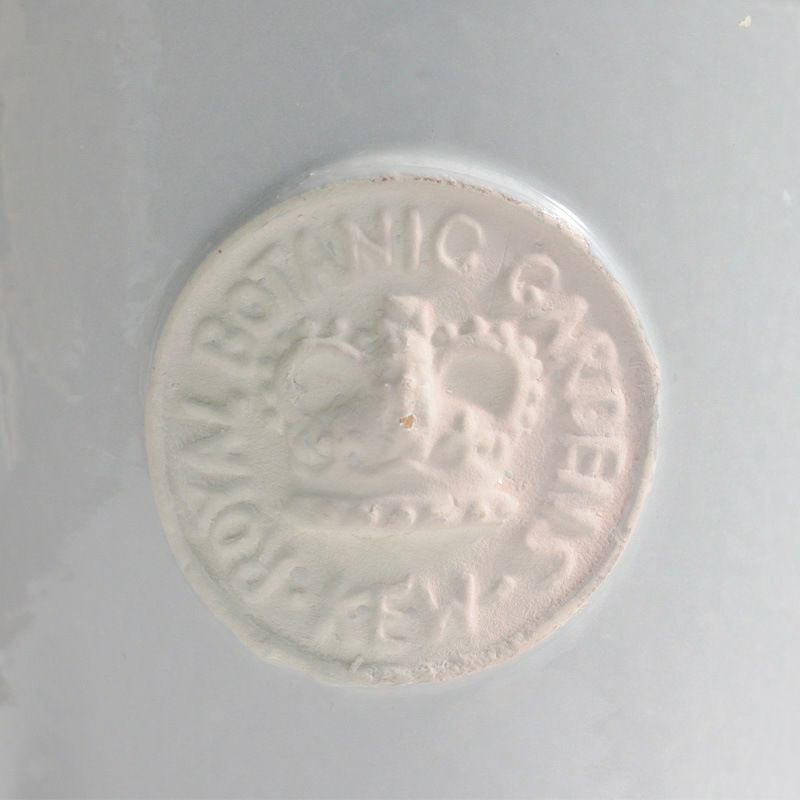 キューポット 植木鉢 Sサイズ キューガーデンズ