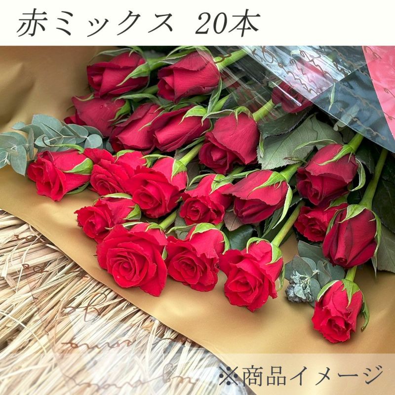 赤いバラの花束 20本