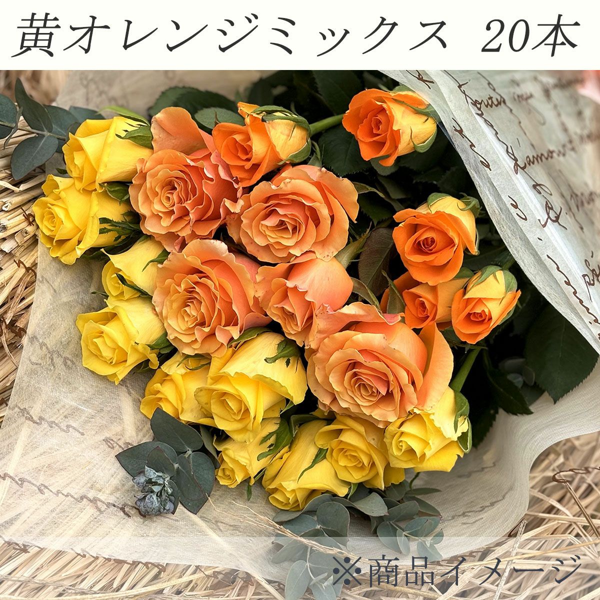 確認用 来シーズンまでお待ち下さい バラ苗♡G.yellowのシュラブローズ 