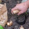 球根穴掘りツール 種苗植え 土壌採取
